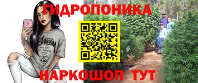 mdpv Коломна