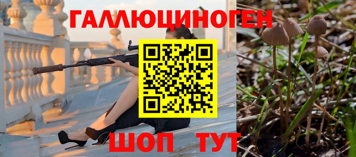 Кузнецк  Галлюциногенные грибы GOLDEN TEACHER  Вход с VPN  где можно купить   Галлюциногенные грибы Magic Shrooms 