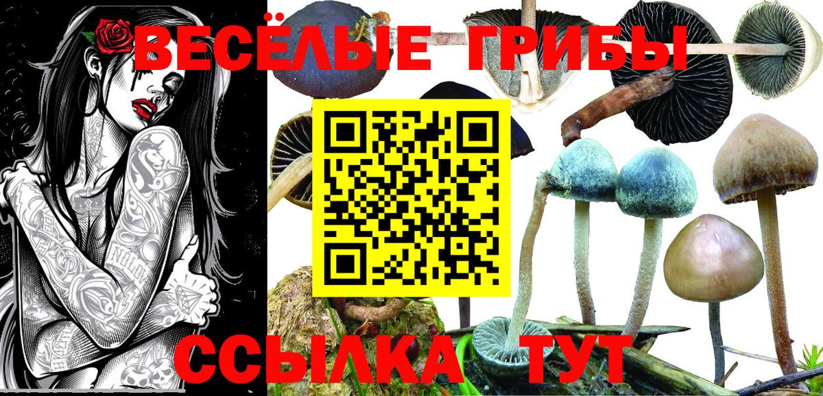 Галлюциногенные грибы MAGIC MUSHROOMS Кузнецк